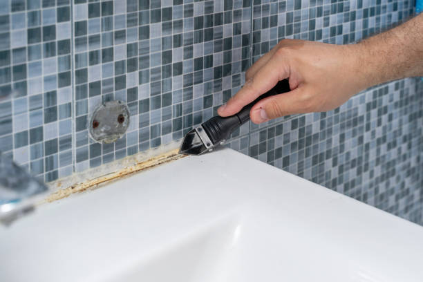 Best Attic Mold Removal  in Ben Bolt, TX